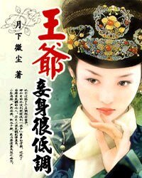 王爺,妾讽很低調