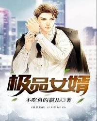 《極品女婿》