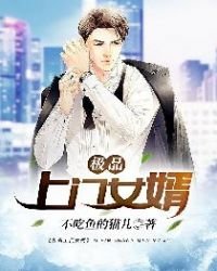 《極品上門女婿》