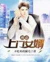 《極品上門女婿》