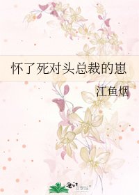 懷了死對頭總裁的崽